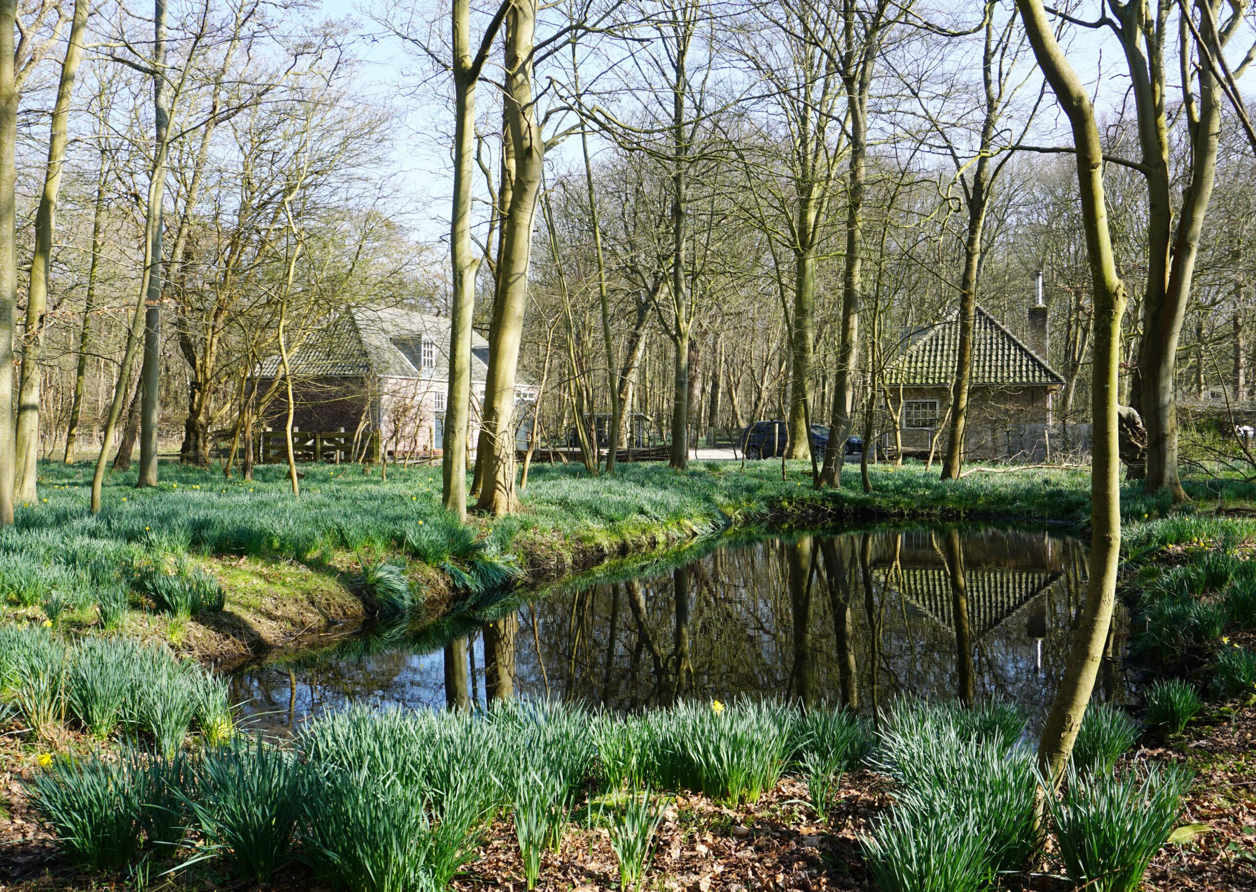 Restanten Formele tuinaanleg Landgoed Duinbeek
